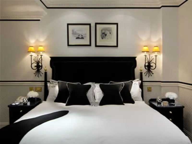 41 Hotel