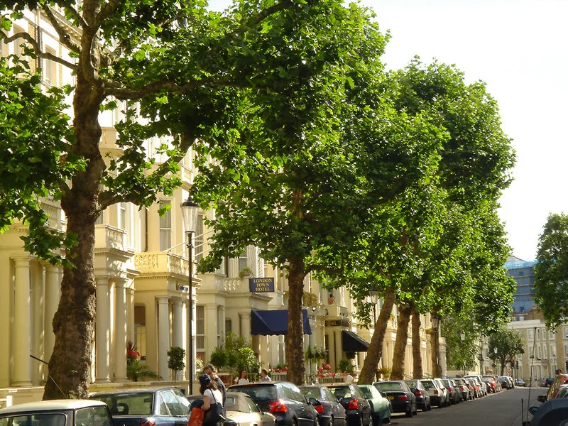 The London Town